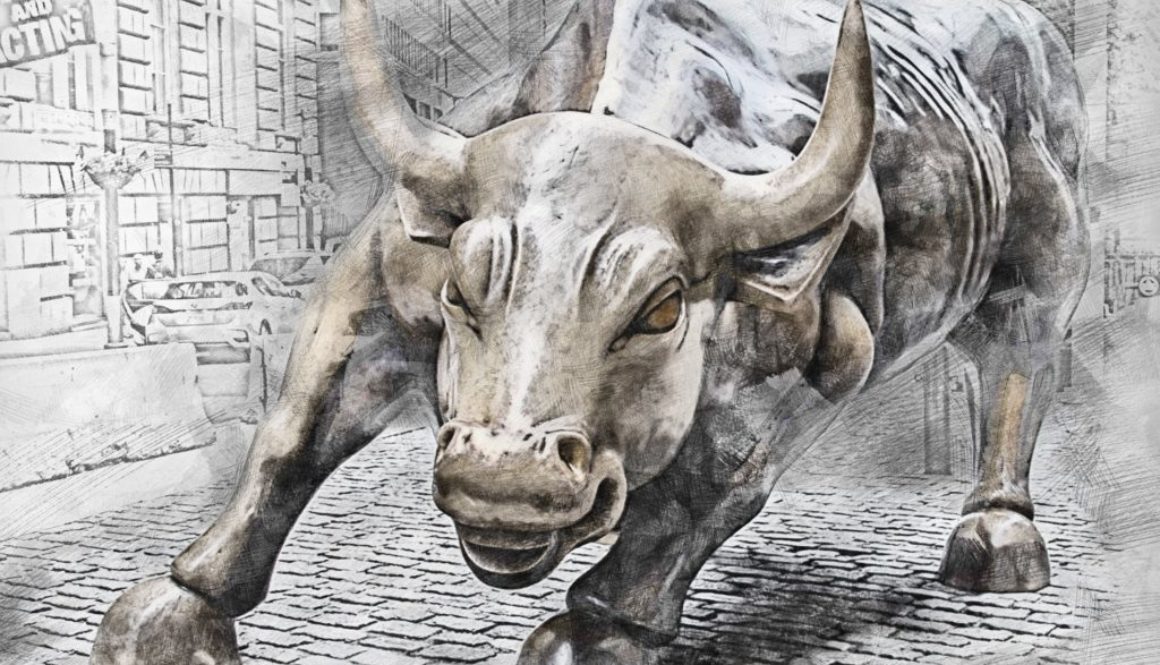 we-empower-investors-bull-2200